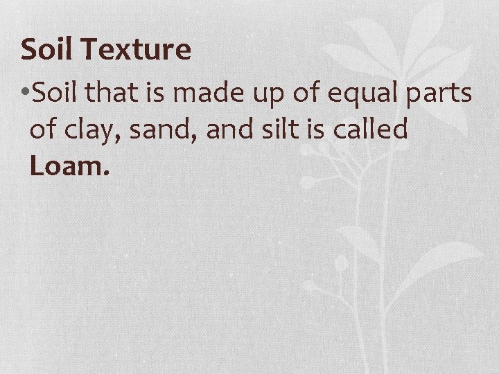 Soil Texture • Soil that is made up of equal parts of clay, sand,