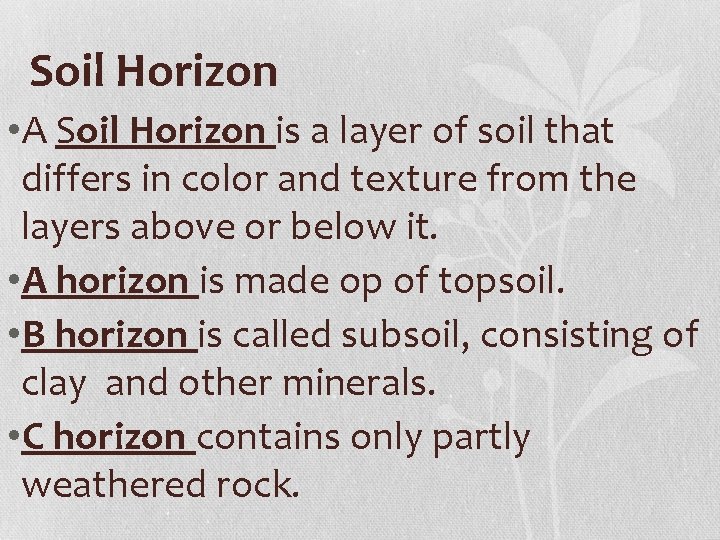 Soil Horizon • A Soil Horizon is a layer of soil that differs in