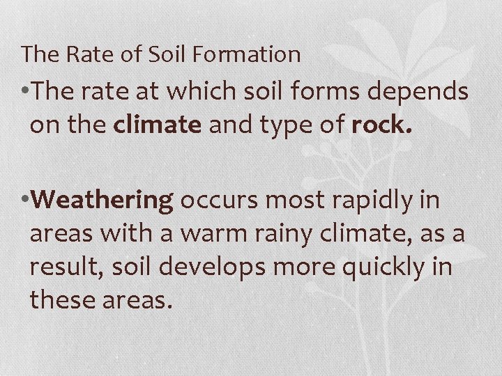 The Rate of Soil Formation • The rate at which soil forms depends on
