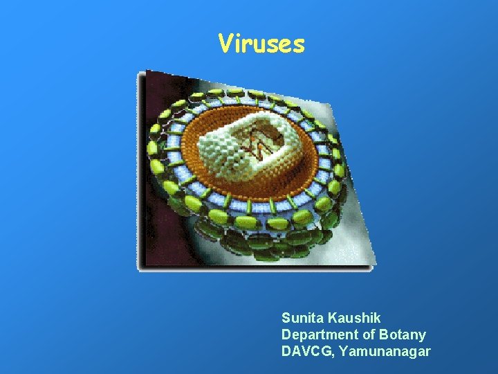 Viruses Sunita Kaushik Department of Botany DAVCG, Yamunanagar 