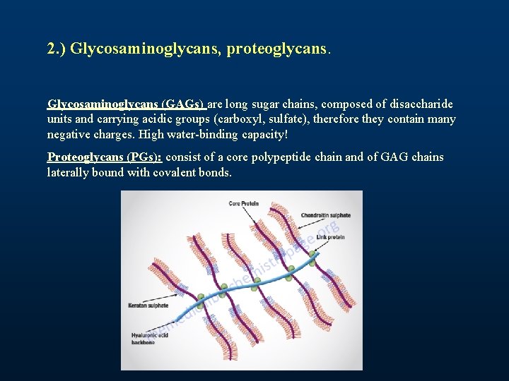 2. ) Glycosaminoglycans, proteoglycans. Glycosaminoglycans (GAGs) are long sugar chains, composed of disaccharide units 2. ) Glycosaminoglycans, proteoglycans. Glycosaminoglycans (GAGs) are long sugar chains, composed of disaccharide units