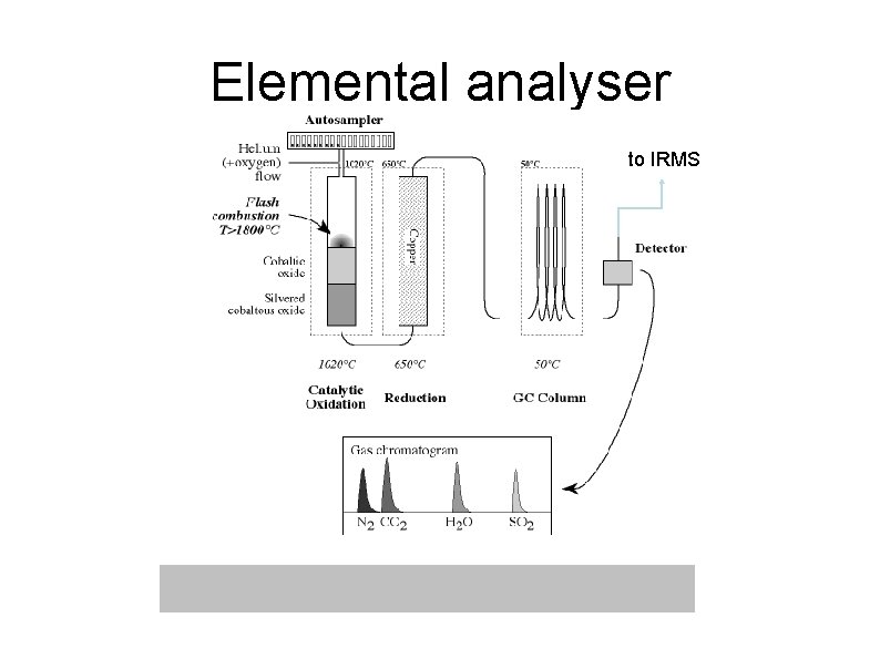 Elemental analyser to IRMS 