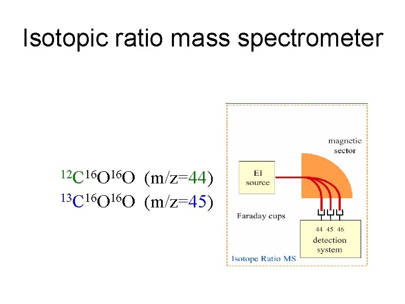 Isotopic ratio mass spectrometer 12 C 16 O (m/z=44) 13 C 16 O (m/z=45)