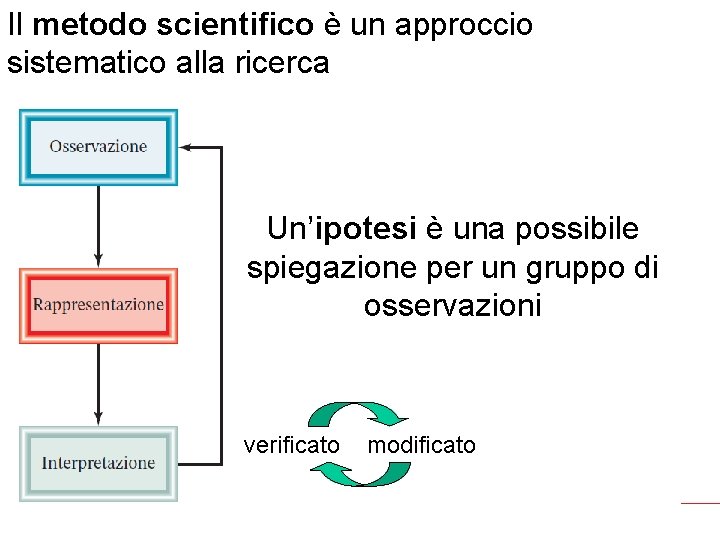 Il metodo scientifico è un approccio sistematico alla ricerca Un’ipotesi è una possibile spiegazione