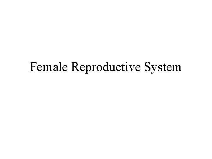 Female Reproductive System 