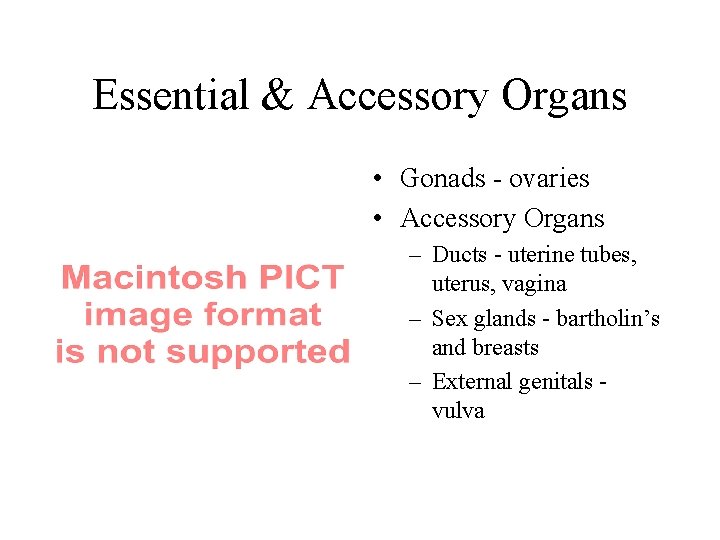 Essential & Accessory Organs • Gonads - ovaries • Accessory Organs – Ducts -