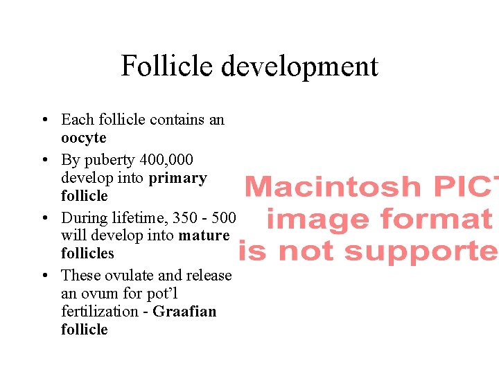 Follicle development • Each follicle contains an oocyte • By puberty 400, 000 develop