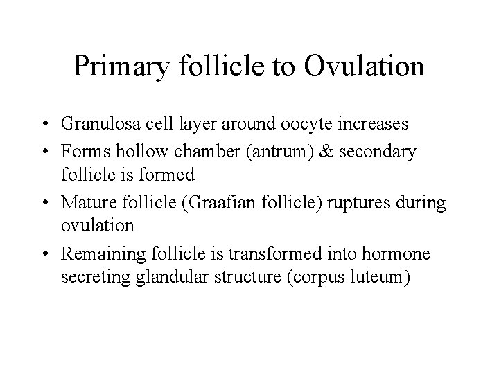 Primary follicle to Ovulation • Granulosa cell layer around oocyte increases • Forms hollow