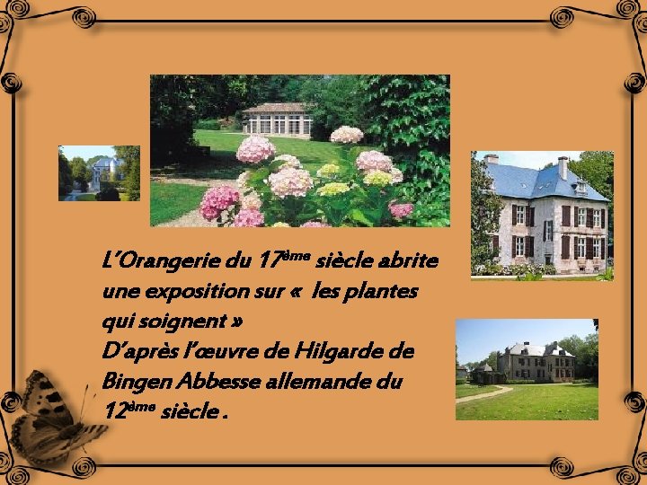 L’Orangerie du 17ème siècle abrite une exposition sur « les plantes qui soignent »