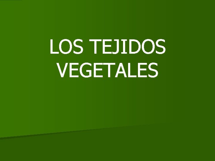 LOS TEJIDOS VEGETALES LOS TEJIDOS VEGETALES