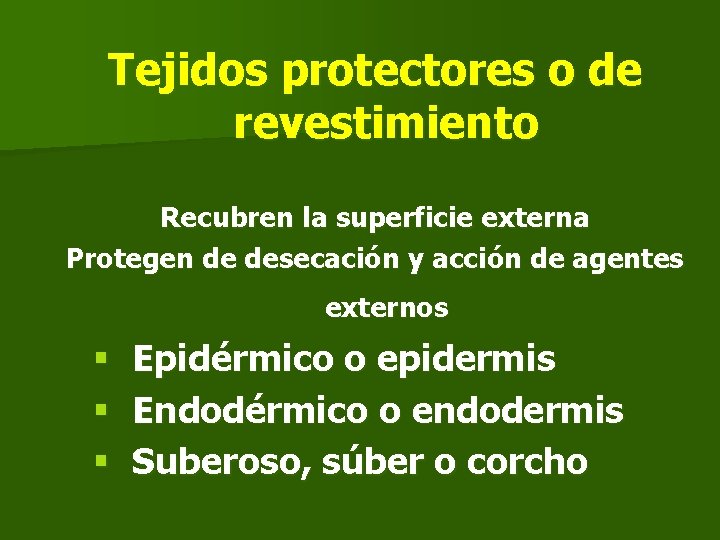 Tejidos protectores o de revestimiento Recubren la superficie externa Protegen de desecación y acción Tejidos protectores o de revestimiento Recubren la superficie externa Protegen de desecación y acción