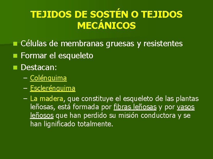 TEJIDOS DE SOSTÉN O TEJIDOS MECÁNICOS Células de membranas gruesas y resistentes n Formar TEJIDOS DE SOSTÉN O TEJIDOS MECÁNICOS Células de membranas gruesas y resistentes n Formar