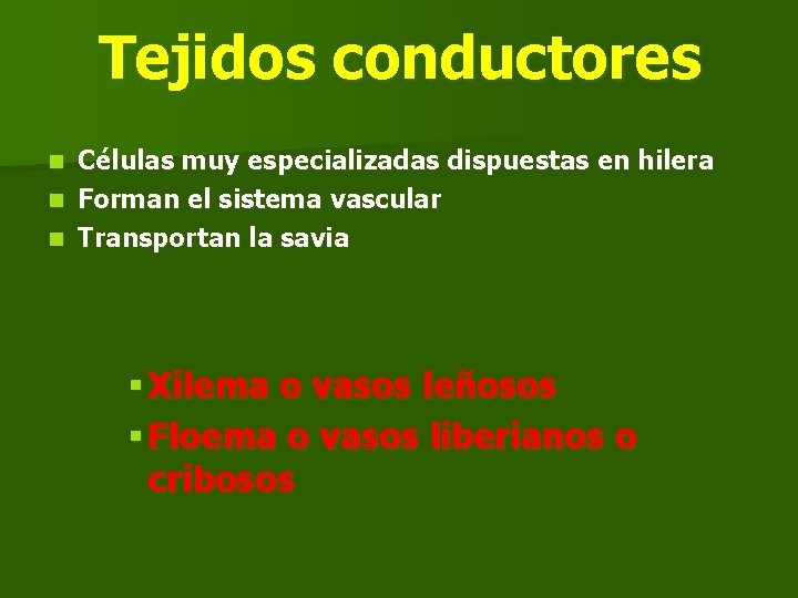 Tejidos conductores Células muy especializadas dispuestas en hilera n Forman el sistema vascular n Tejidos conductores Células muy especializadas dispuestas en hilera n Forman el sistema vascular n