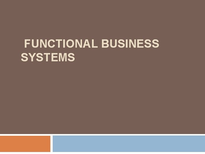 FUNCTIONAL BUSINESS SYSTEMS 