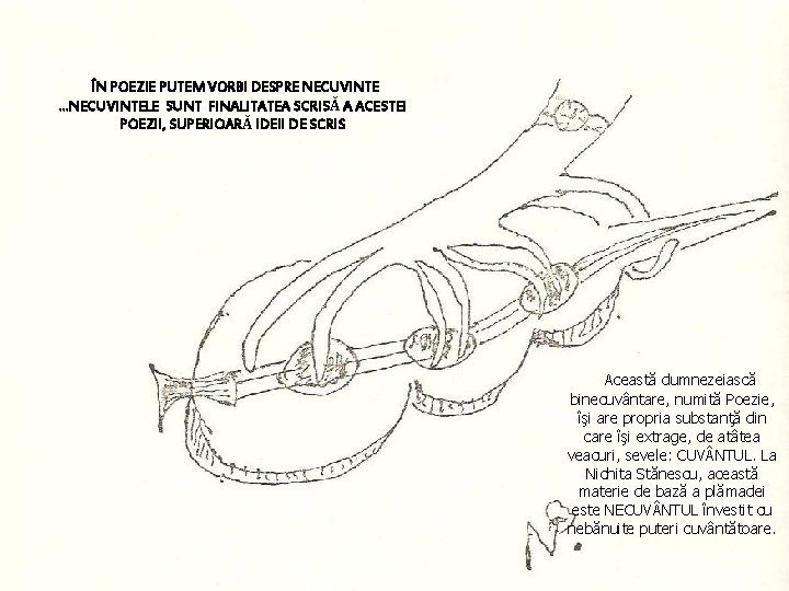 ÎN POEZIE PUTEM VORBI DESPRE NECUVINTE. . . NECUVINTELE SUNT FINALITATEA SCRISĂ A ACESTEI