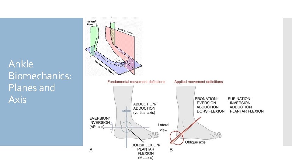 Ankle Biomechanics: Planes and Axis 
