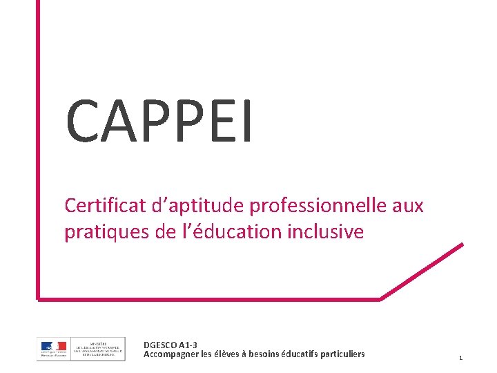 CAPPEI Certificat d’aptitude professionnelle aux pratiques de l’éducation inclusive DGESCO A 1 -3 Accompagner