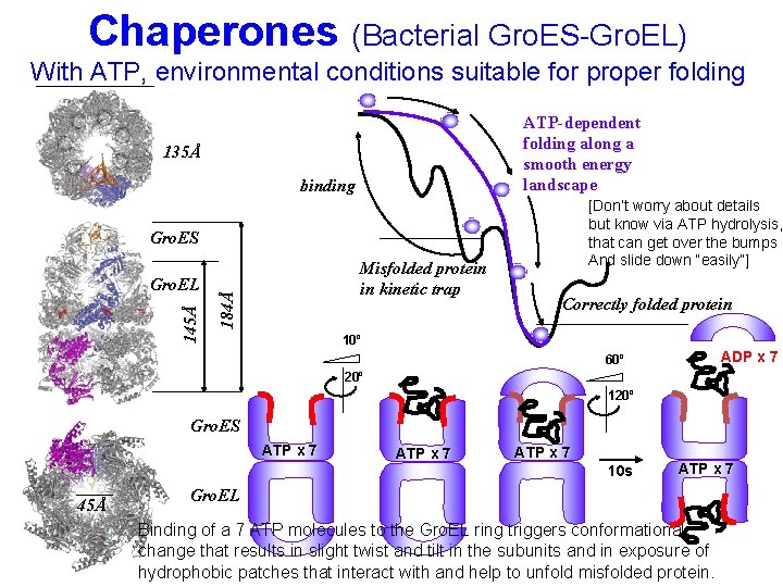 Chaperones (Bacterial Gro. ES-Gro. EL) With ATP, environmental conditions suitable for proper folding ATP-dependent