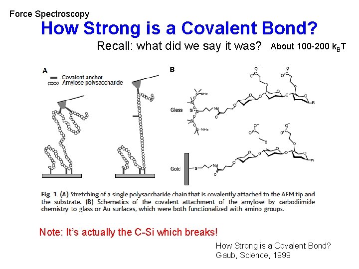 Force Spectroscopy How Strong is a Covalent Bond? Recall: what did we say it