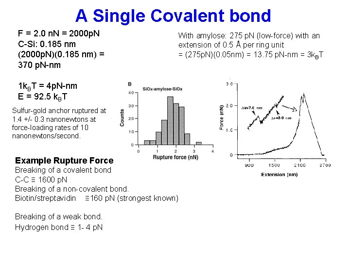 A Single Covalent bond F = 2. 0 n. N = 2000 p. N