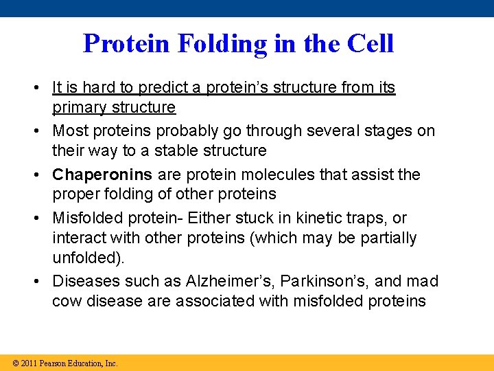Protein Folding in the Cell • It is hard to predict a protein’s structure