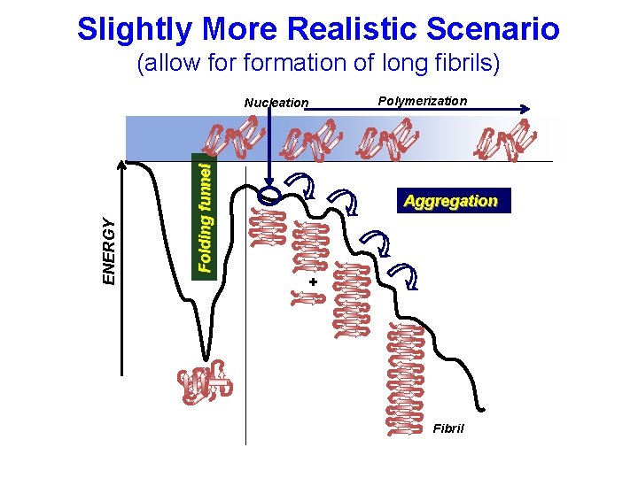 Slightly More Realistic Scenario (allow formation of long fibrils) Folding funnel ENERGY Nucleation Polymerization