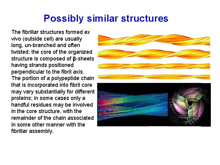 Possibly similar structures The fibrillar structures formed ex vivo (outside cell) are usually long,