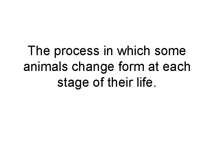 The process in which some animals change form at each stage of their life. The process in which some animals change form at each stage of their life.