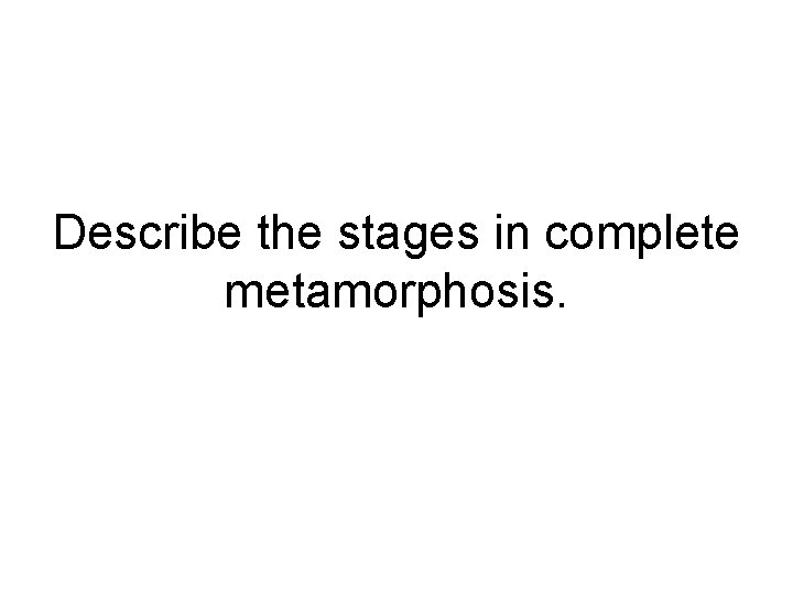Describe the stages in complete metamorphosis. Describe the stages in complete metamorphosis.