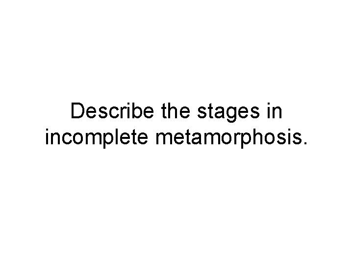 Describe the stages in incomplete metamorphosis. Describe the stages in incomplete metamorphosis.