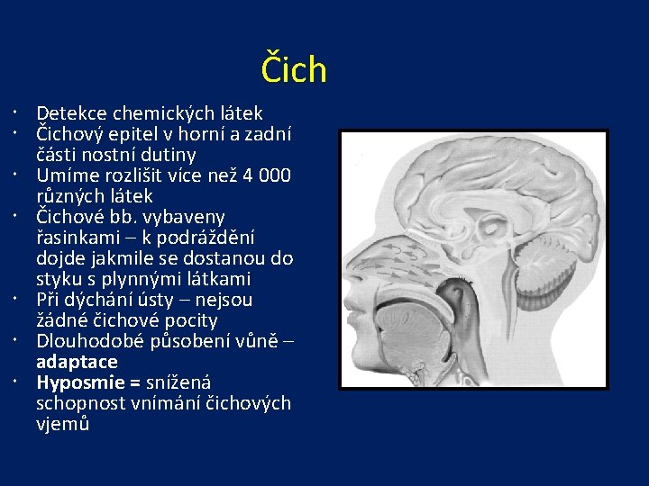 Čich Detekce chemických látek Čichový epitel v horní a zadní části nostní dutiny Umíme