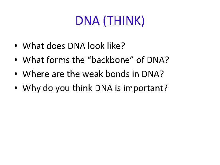 DNA (THINK) • • What does DNA look like? What forms the “backbone” of