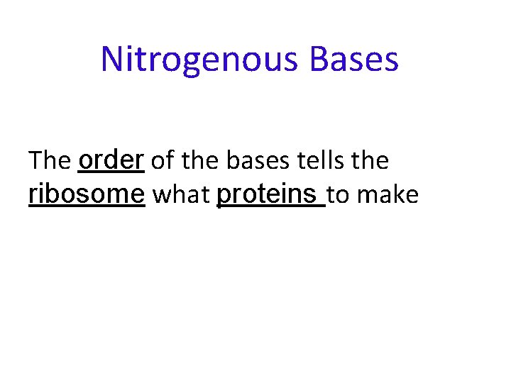 Nitrogenous Bases The order of the bases tells the ribosome what proteins to make