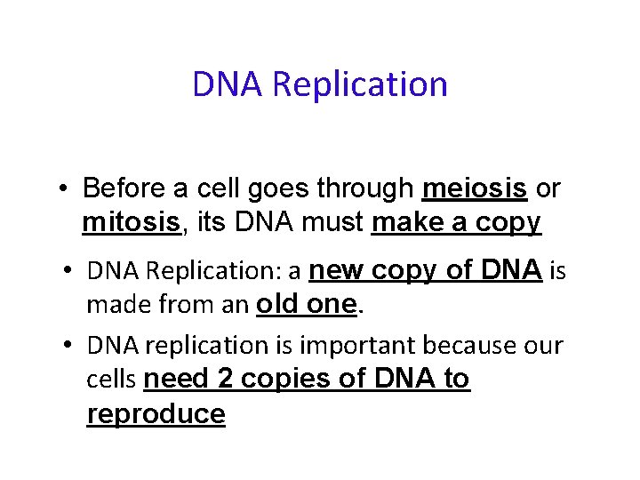 DNA Replication • Before a cell goes through meiosis or mitosis, its DNA must