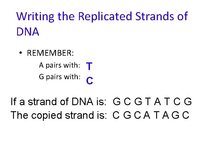 Writing the Replicated Strands of DNA • REMEMBER: A pairs with: G pairs with: