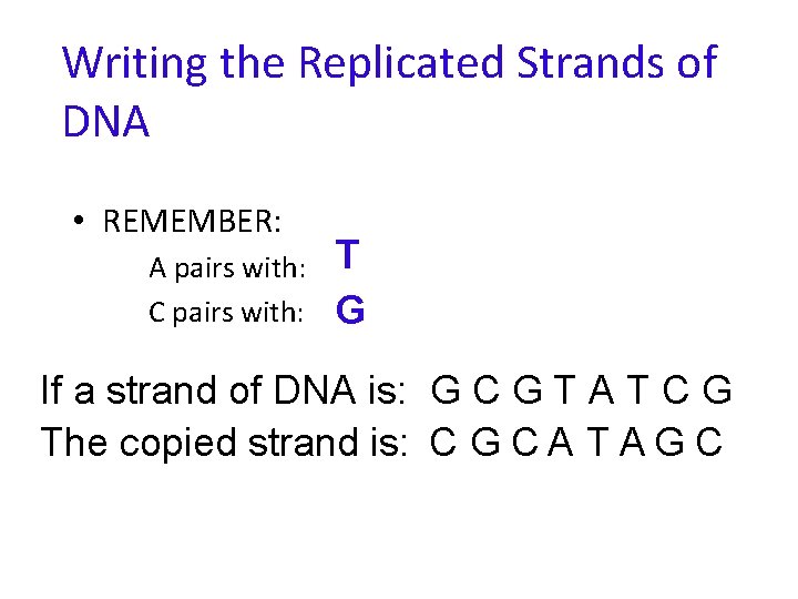 Writing the Replicated Strands of DNA • REMEMBER: A pairs with: C pairs with: