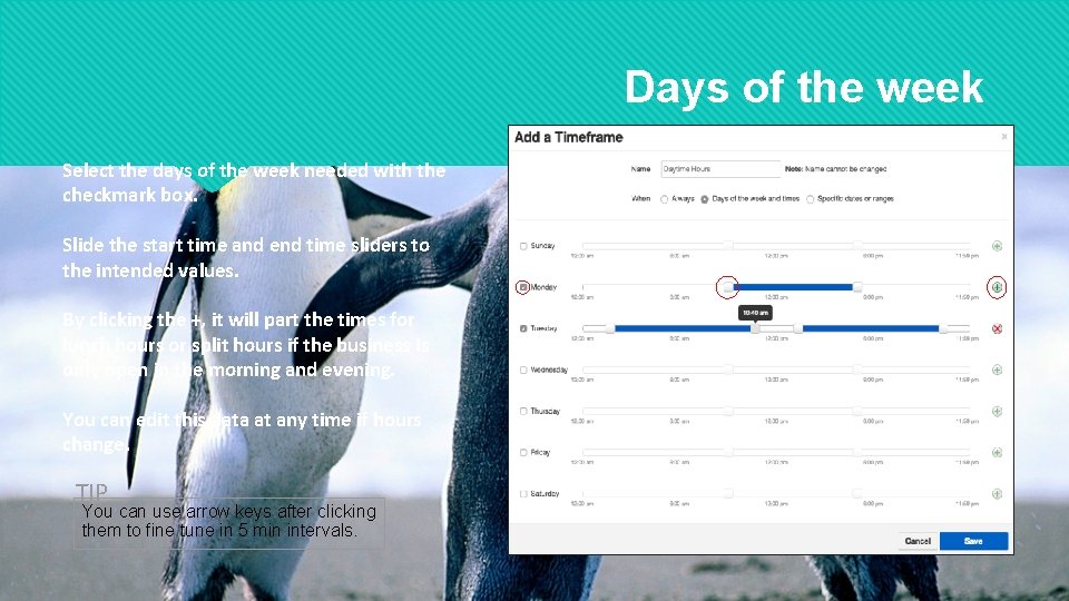 Days of the week Select the days of the week needed with the checkmark