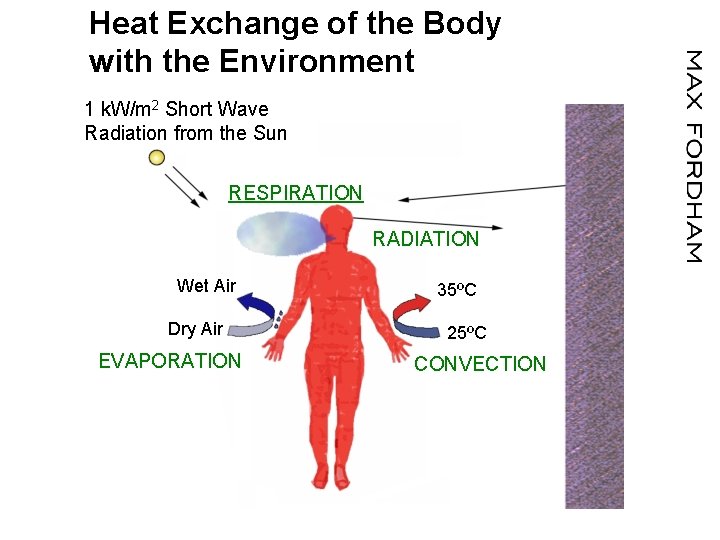 Heat Exchange of the Body with the Environment 1 k. W/m 2 Short Wave