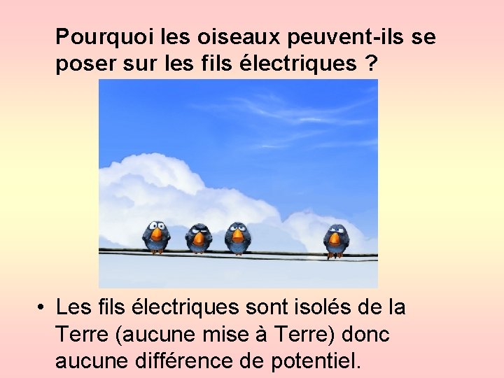 Pourquoi les oiseaux peuvent-ils se poser sur les fils électriques ? • Les fils