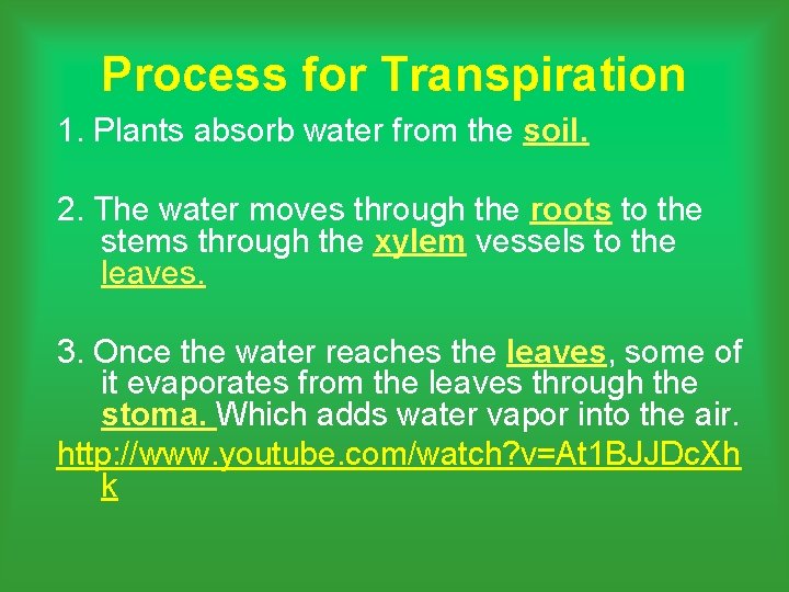 Process for Transpiration 1. Plants absorb water from the soil. 2. The water moves