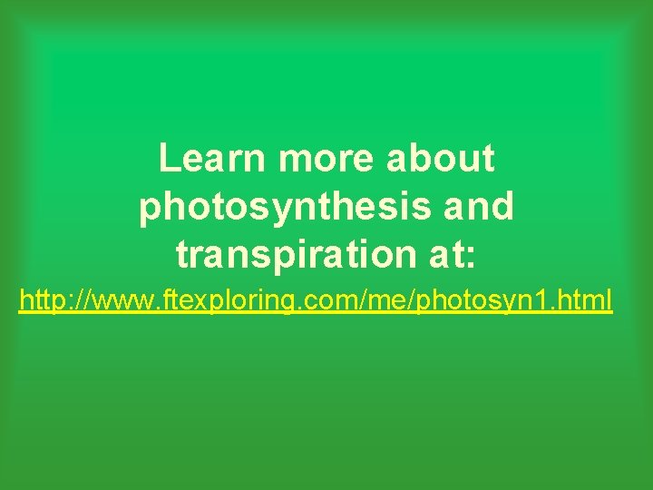 Learn more about photosynthesis and transpiration at: http: //www. ftexploring. com/me/photosyn 1. html 