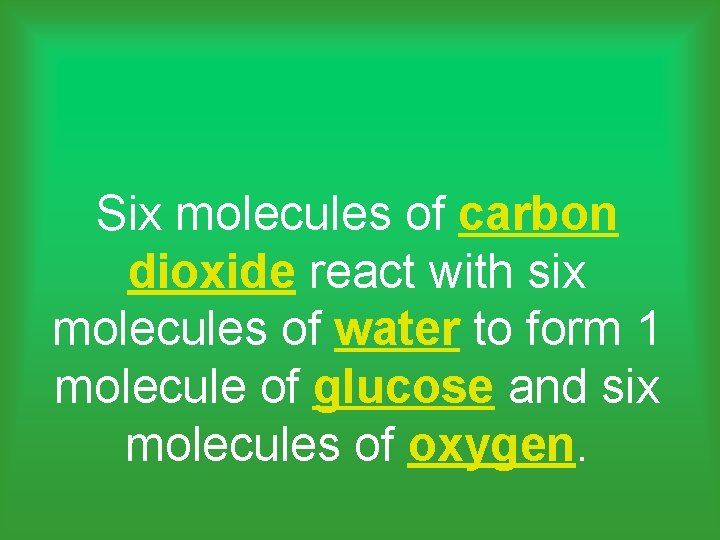 Six molecules of carbon dioxide react with six molecules of water to form 1