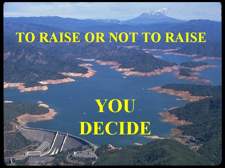 TO RAISE OR NOT TO RAISE YOU DECIDE TO RAISE OR NOT TO RAISE YOU DECIDE
