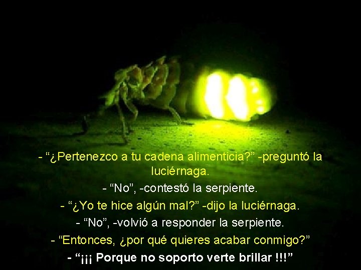 - “¿Pertenezco a tu cadena alimenticia? ” -preguntó la luciérnaga. - “No”, -contestó la