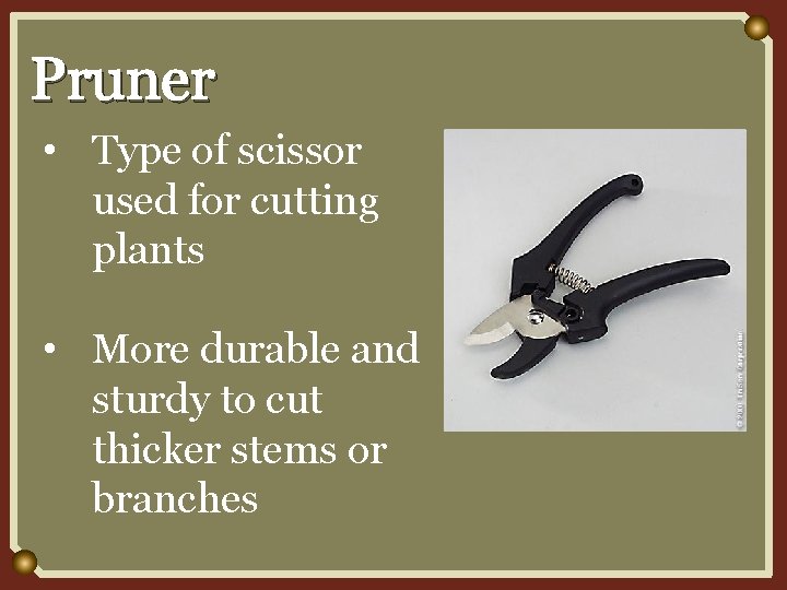Pruner • Type of scissor used for cutting plants • More durable and sturdy