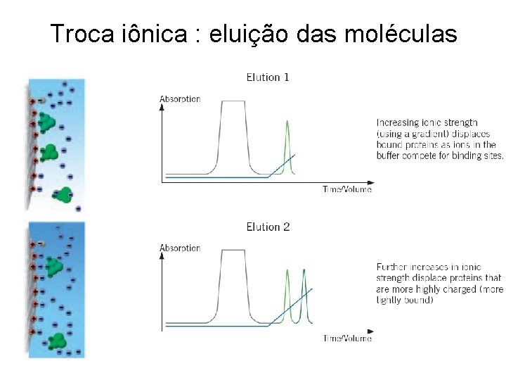 Troca iônica : eluição das moléculas 