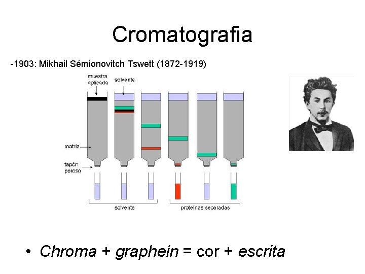 Cromatografia -1903: Mikhail Sémionovitch Tswett (1872 -1919) • Chroma + graphein = cor +