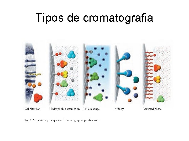 Tipos de cromatografia 