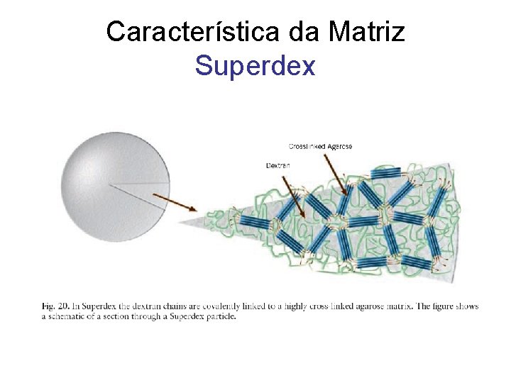 Característica da Matriz Superdex 