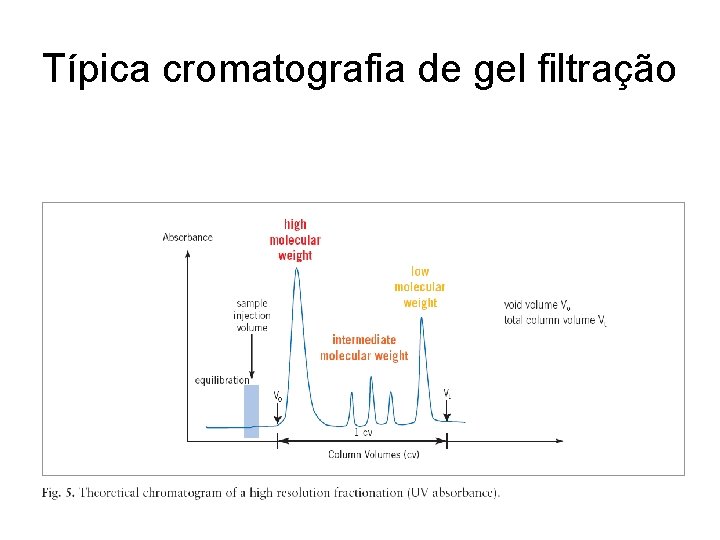 Típica cromatografia de gel filtração 